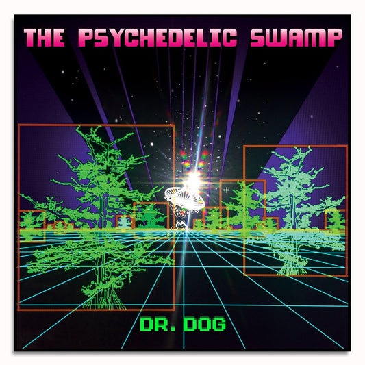 The Psychedelic Swamp CD
