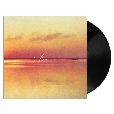 Andy Shauf - Norm LP (Black)