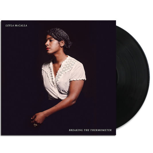 Breaking The Thermometer LP (Black)