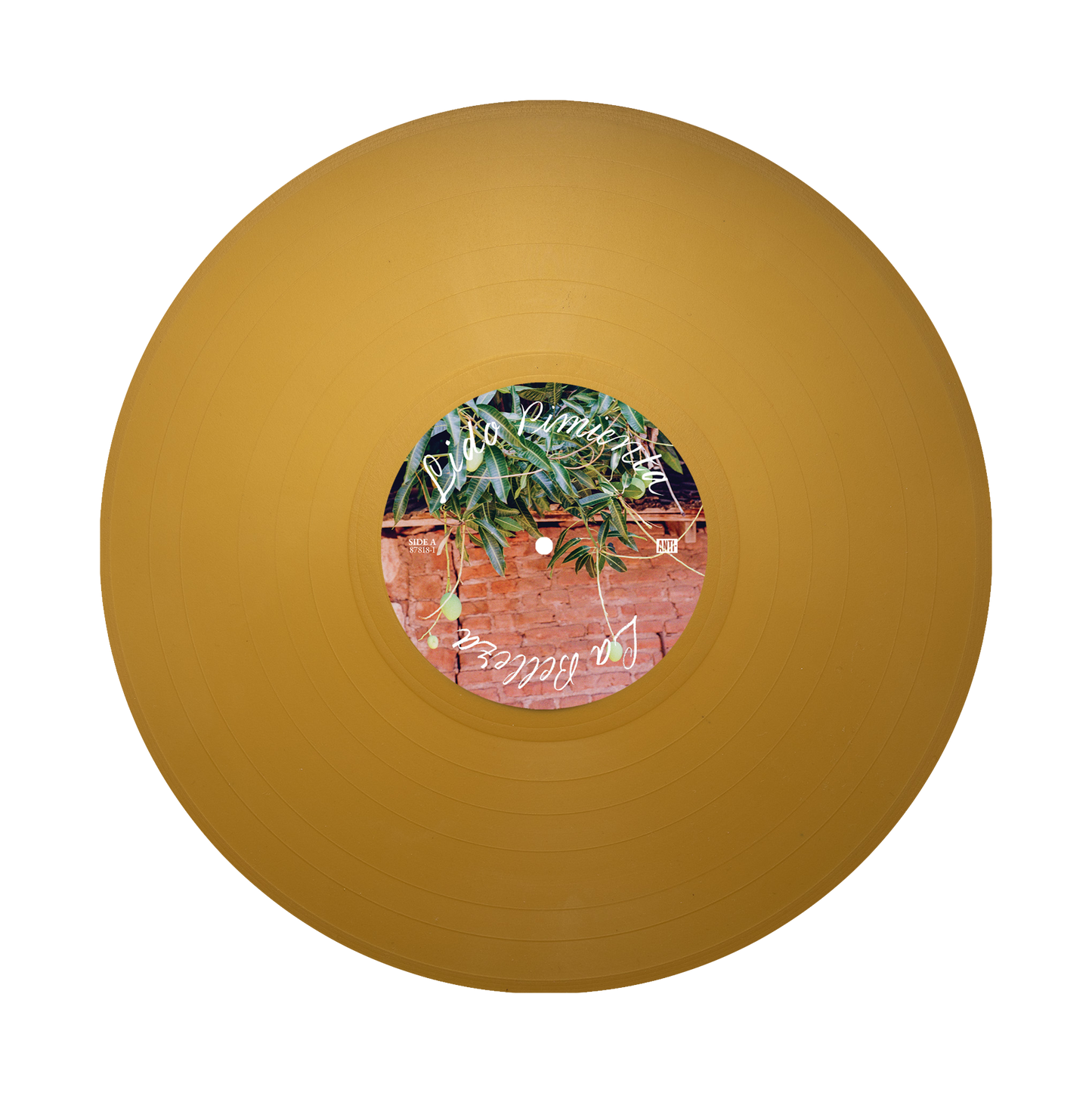 Caribenya 2xLP (Gold) Disc