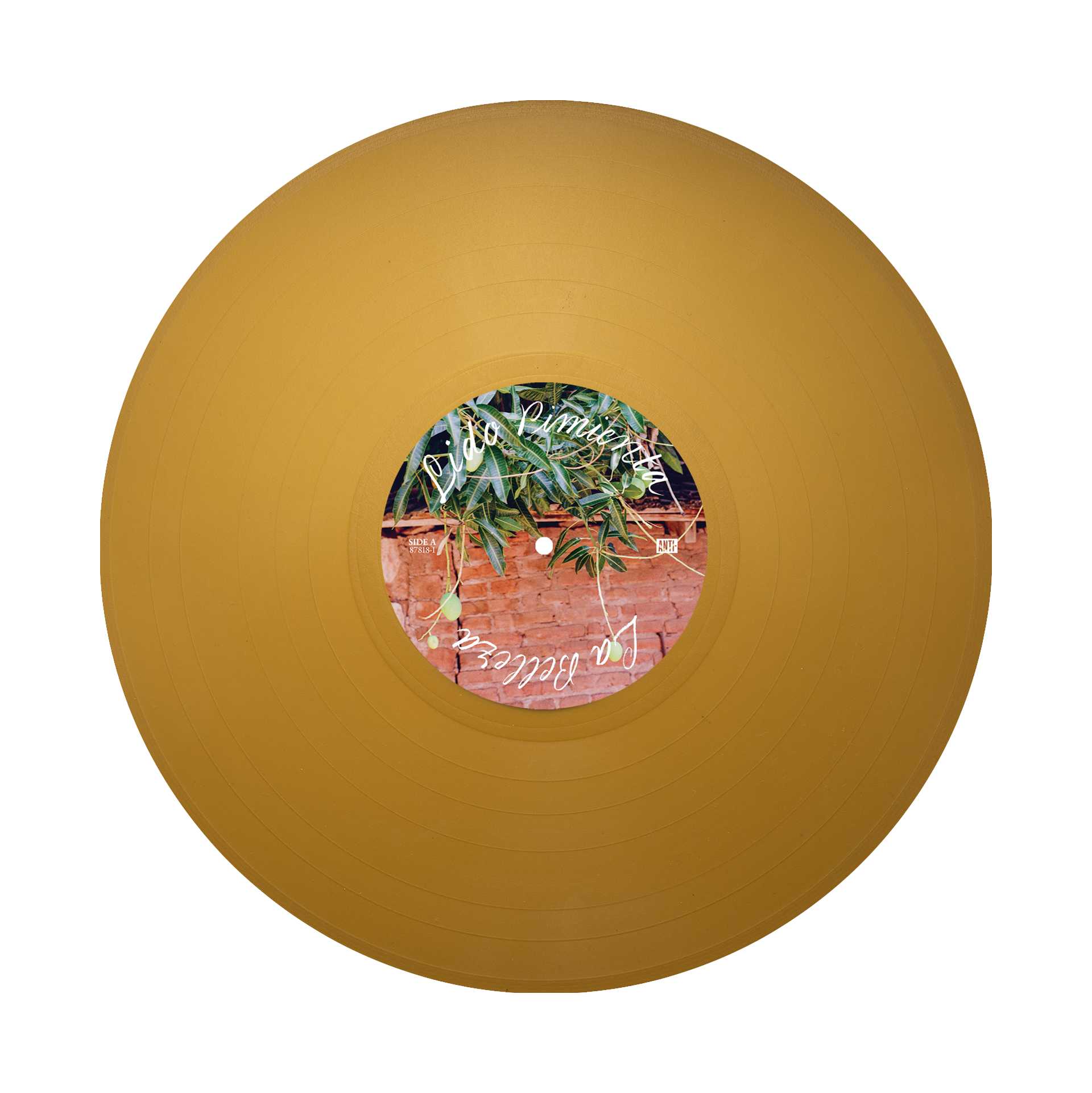 Caribenya 2xLP (Gold) Disc