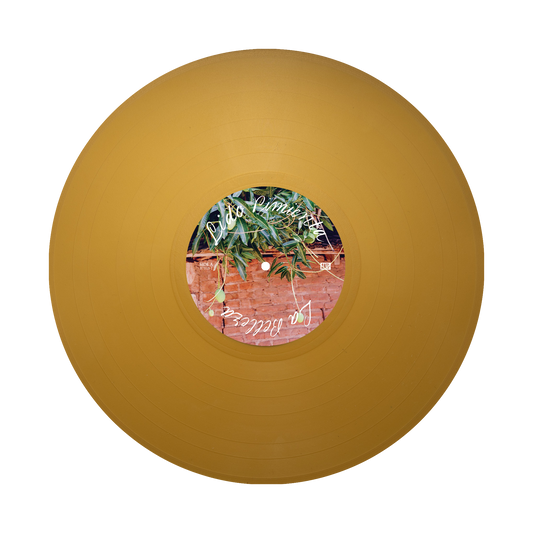 Caribenya 2xLP (Gold) Disc